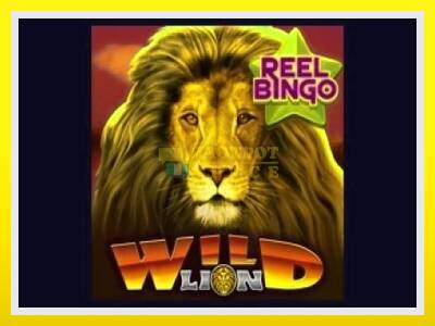 Wild Lion with Reel Bingo leikjavél fyrir peninga