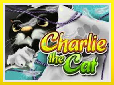 Charlie the Cat leikjavél fyrir peninga