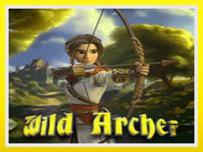 Wild Archer leikjavél fyrir peninga