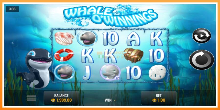 Whale O’Winnings leikjavél fyrir peninga, mynd 1