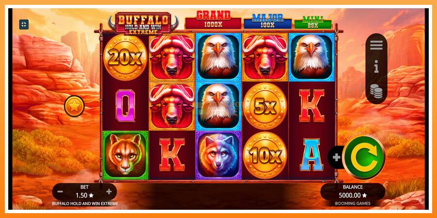 Buffalo Hold and Win Extreme leikjavél fyrir peninga, mynd 1