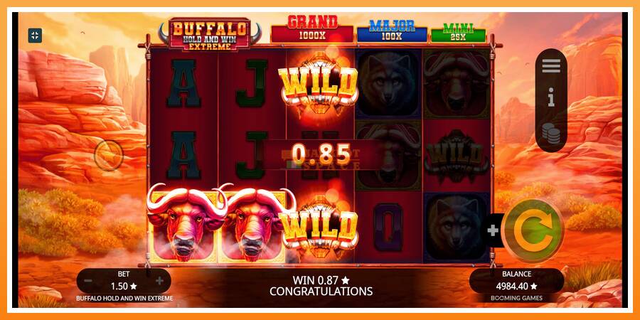 Buffalo Hold and Win Extreme leikjavél fyrir peninga, mynd 6