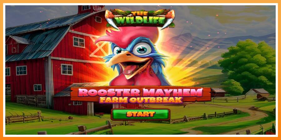 Rooster Mayhem Farm Outbreak leikjavél fyrir peninga, mynd 1