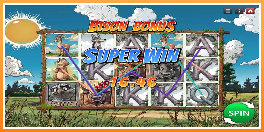 Bison Bonus leikjavél fyrir peninga, mynd 3