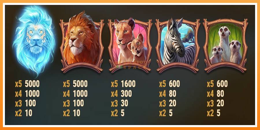 Lion Saga Odyssey leikjavél fyrir peninga, mynd 5