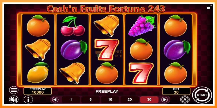 Cashn Fruits Fortune 243 leikjavél fyrir peninga, mynd 2