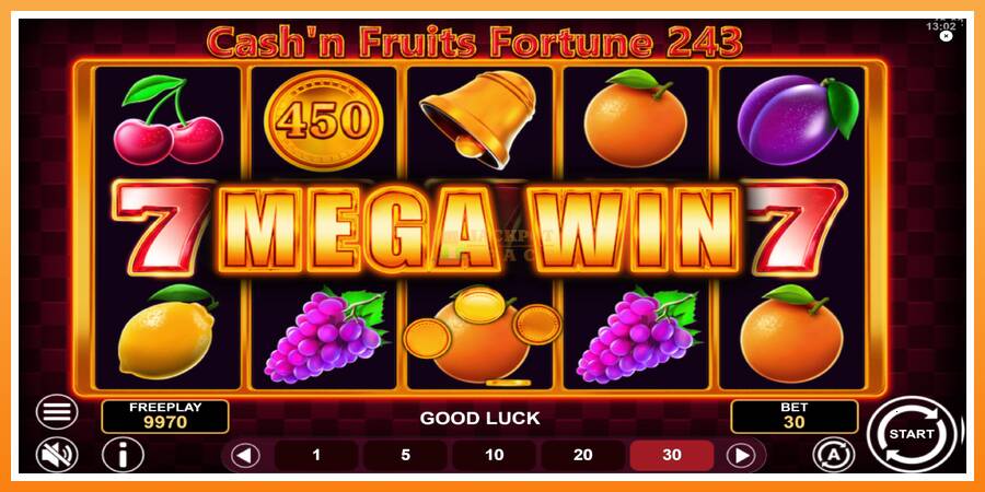 Cashn Fruits Fortune 243 leikjavél fyrir peninga, mynd 3