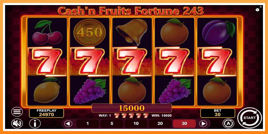 Cashn Fruits Fortune 243 leikjavél fyrir peninga, mynd 4