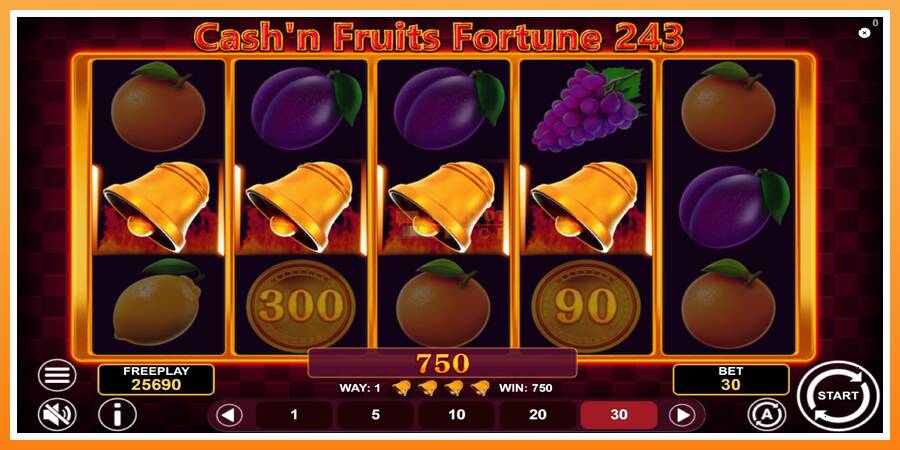 Cashn Fruits Fortune 243 leikjavél fyrir peninga, mynd 5