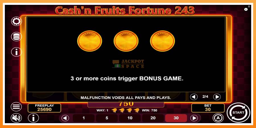 Cashn Fruits Fortune 243 leikjavél fyrir peninga, mynd 7