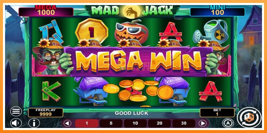 Mad Jack Hold & Win leikjavél fyrir peninga, mynd 2