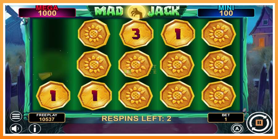 Mad Jack Hold & Win leikjavél fyrir peninga, mynd 3