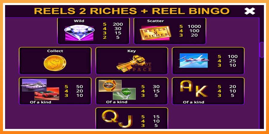 Reels 2 Riches with Reel Bingo leikjavél fyrir peninga, mynd 6