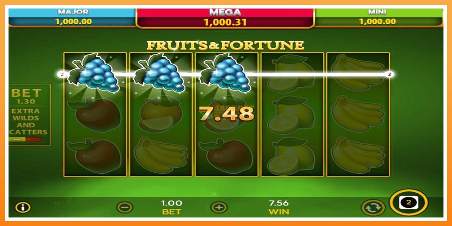 Fruits & Fortune leikjavél fyrir peninga, mynd 5