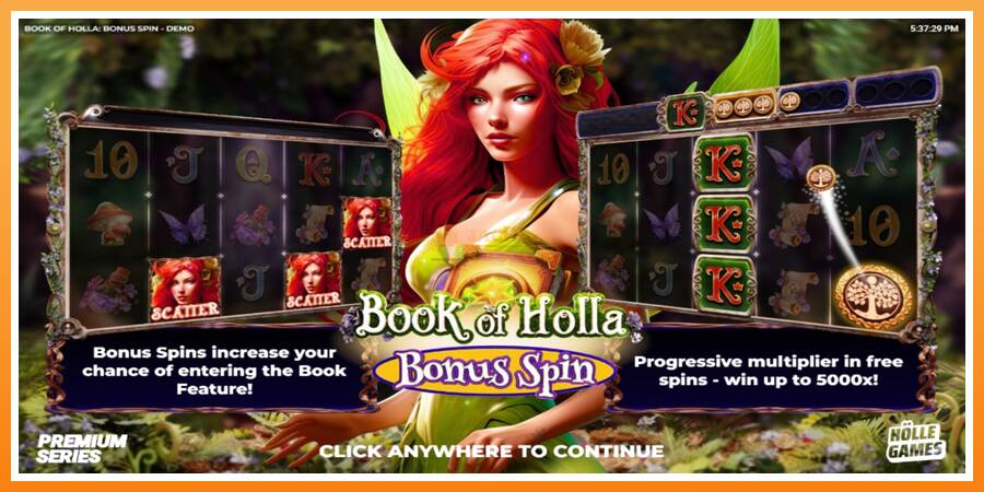 Book of Holla: Bonus Spin leikjavél fyrir peninga, mynd 1