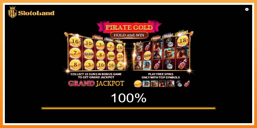 Pirate Gold Hold and Win leikjavél fyrir peninga, mynd 1