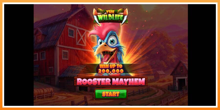 Rooster Mayhem leikjavél fyrir peninga, mynd 1