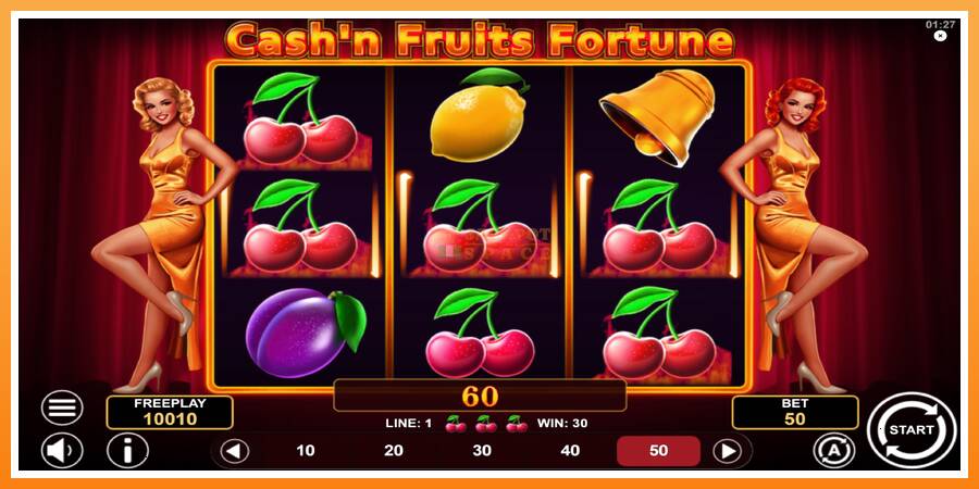 Cashn Fruits Fortune leikjavél fyrir peninga, mynd 3