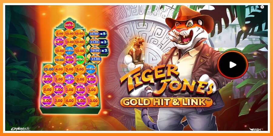 Gold Hit & Link: Tiger Jones leikjavél fyrir peninga, mynd 1