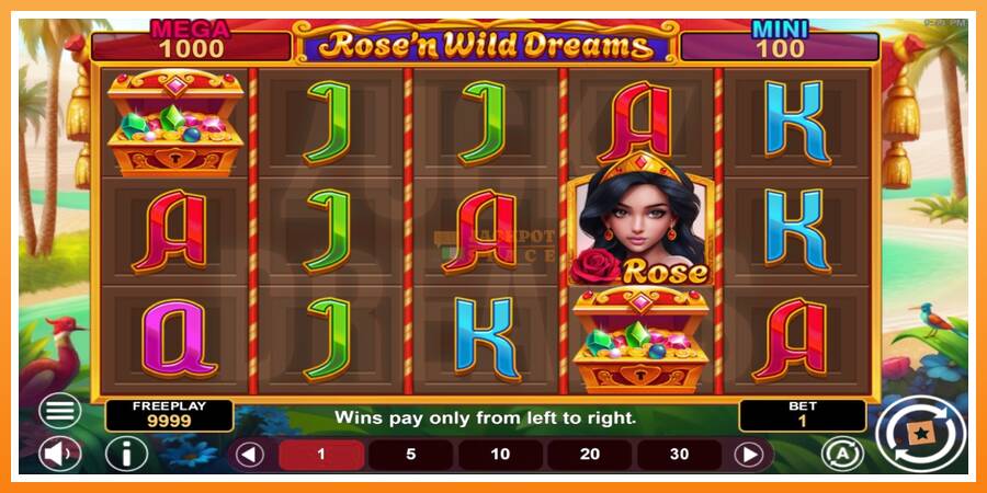 Rose’n Wild Dreams Hold & Win leikjavél fyrir peninga, mynd 2