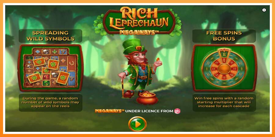 Rich Leprechaun Megaways leikjavél fyrir peninga, mynd 1