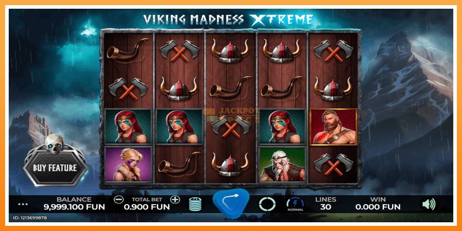 Viking Madness Xtreme leikjavél fyrir peninga, mynd 1