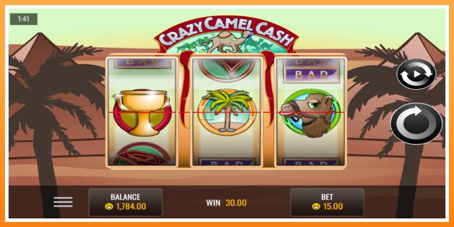 Crazy Camel Cash leikjavél fyrir peninga, mynd 4